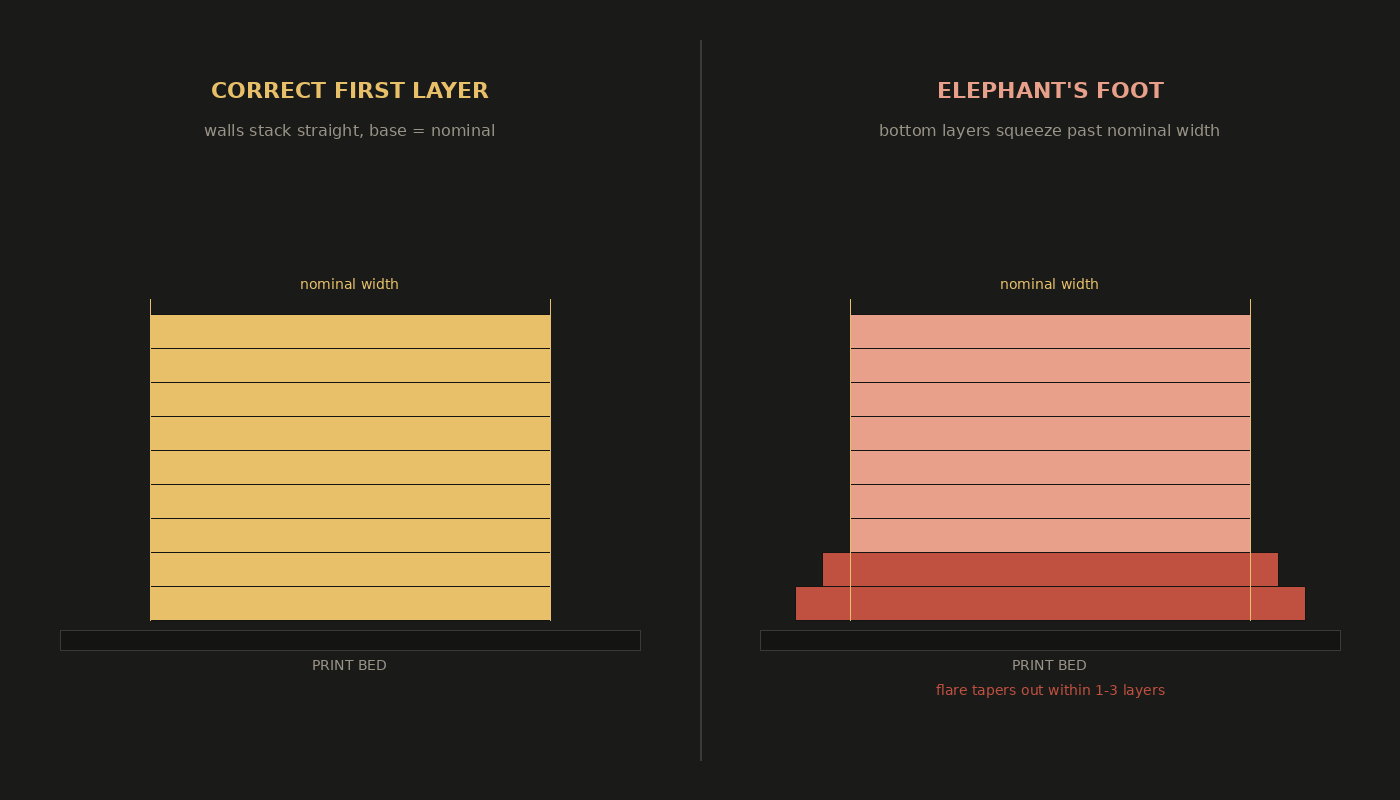 Side-by-side cross-section comparing a correct first layer stacking at nominal width to an elephant's foot base flaring past nominal width in the bottom layers