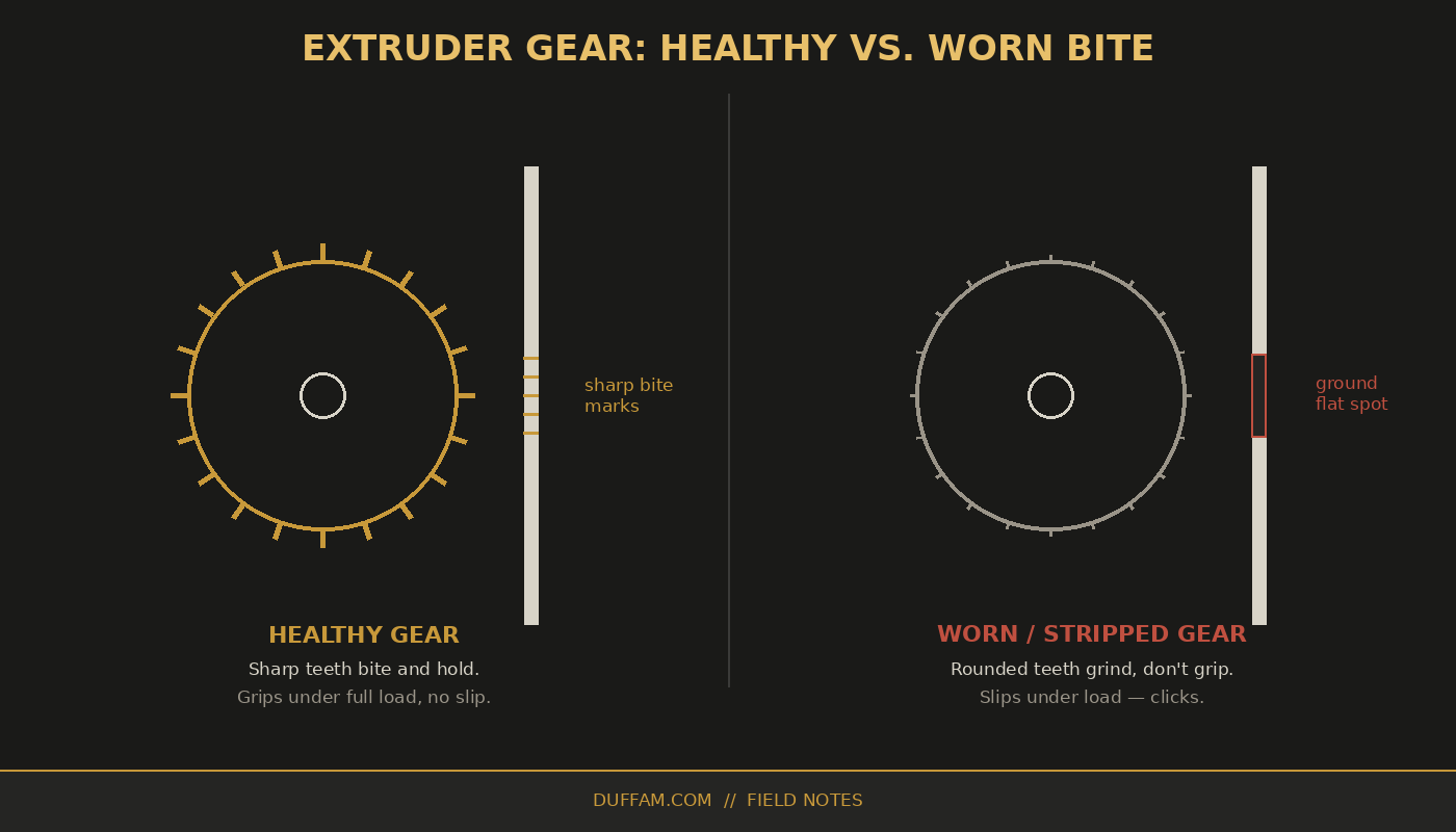 Dual panel diagram comparing a healthy extruder gear with sharp bite marks against a worn gear that grinds a flat groove into the filament