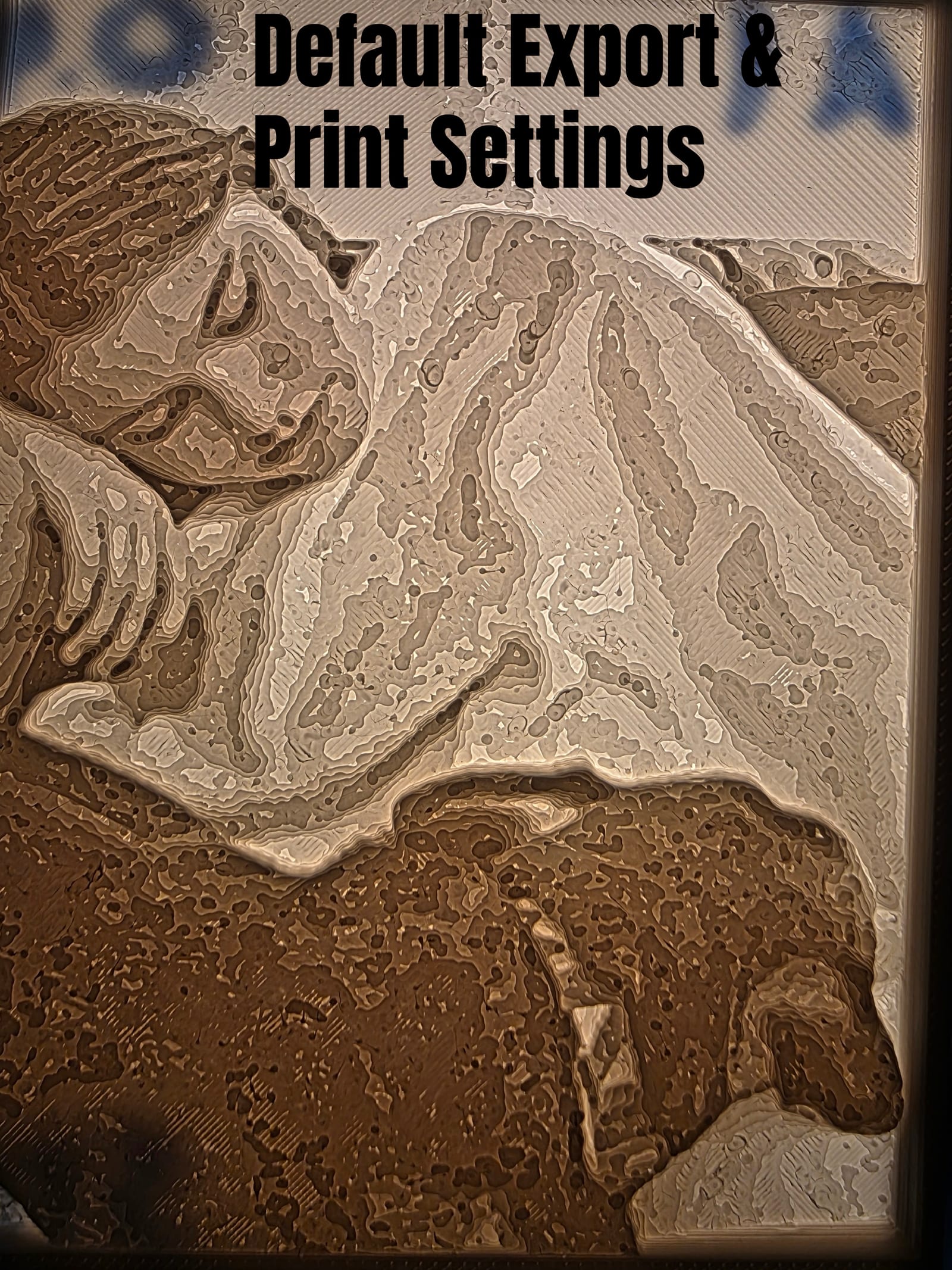 Lithophane print at pass 1, default export and print settings, showing harsh blotchy contrast